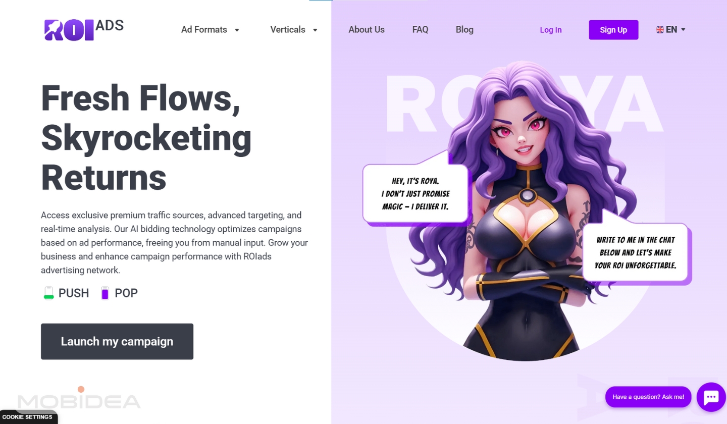 roiads best ad networks