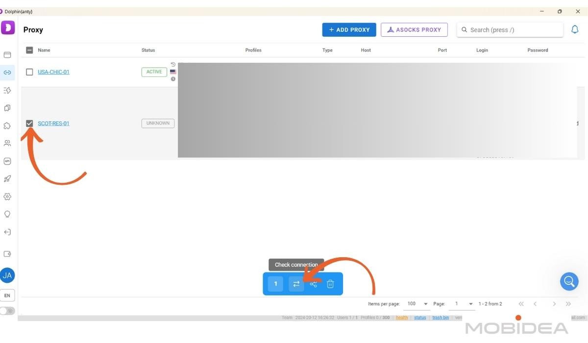 dolphin anty add proxy 6