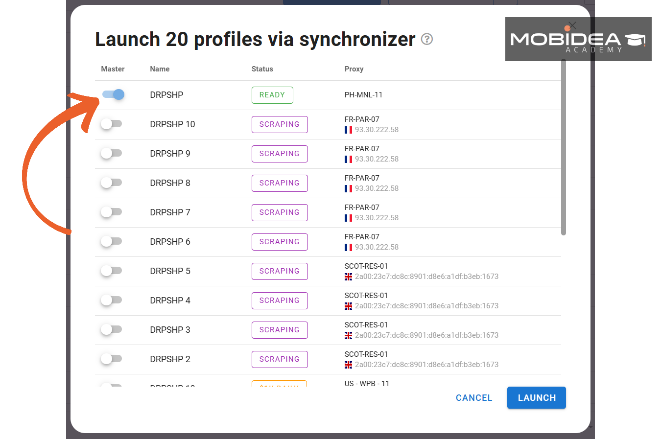 dolphin anty synchronizer 2