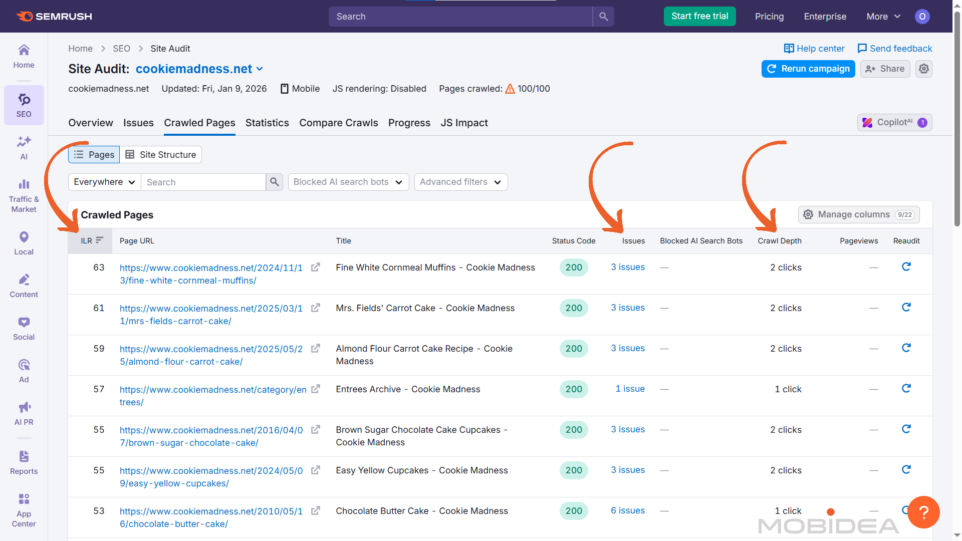 semrush site audit settings 8