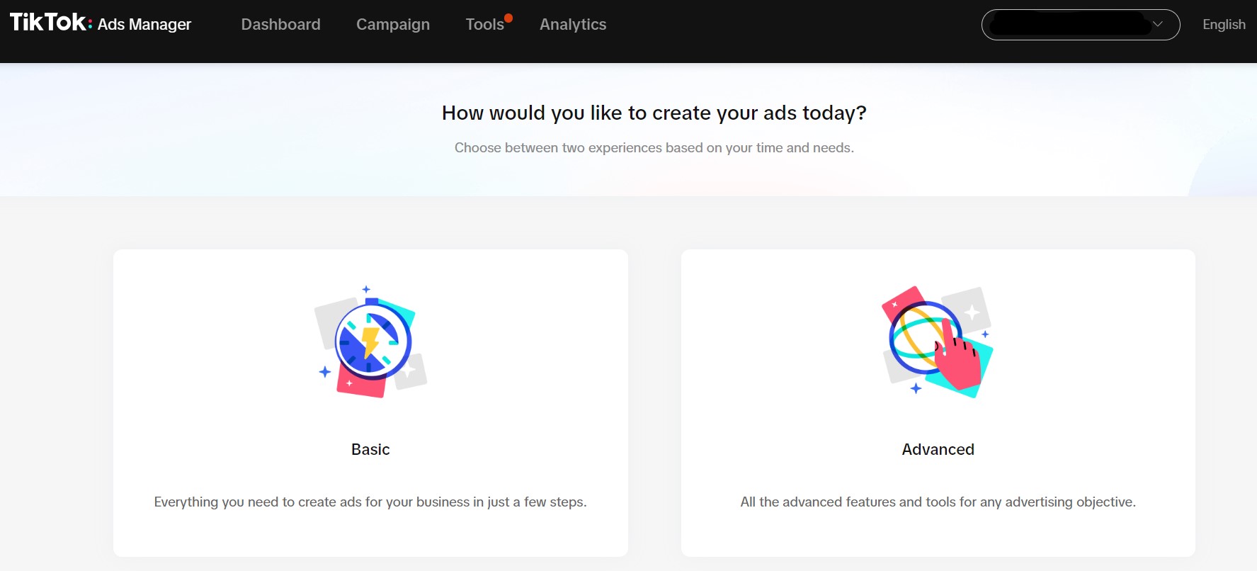 tiktok dating ad network